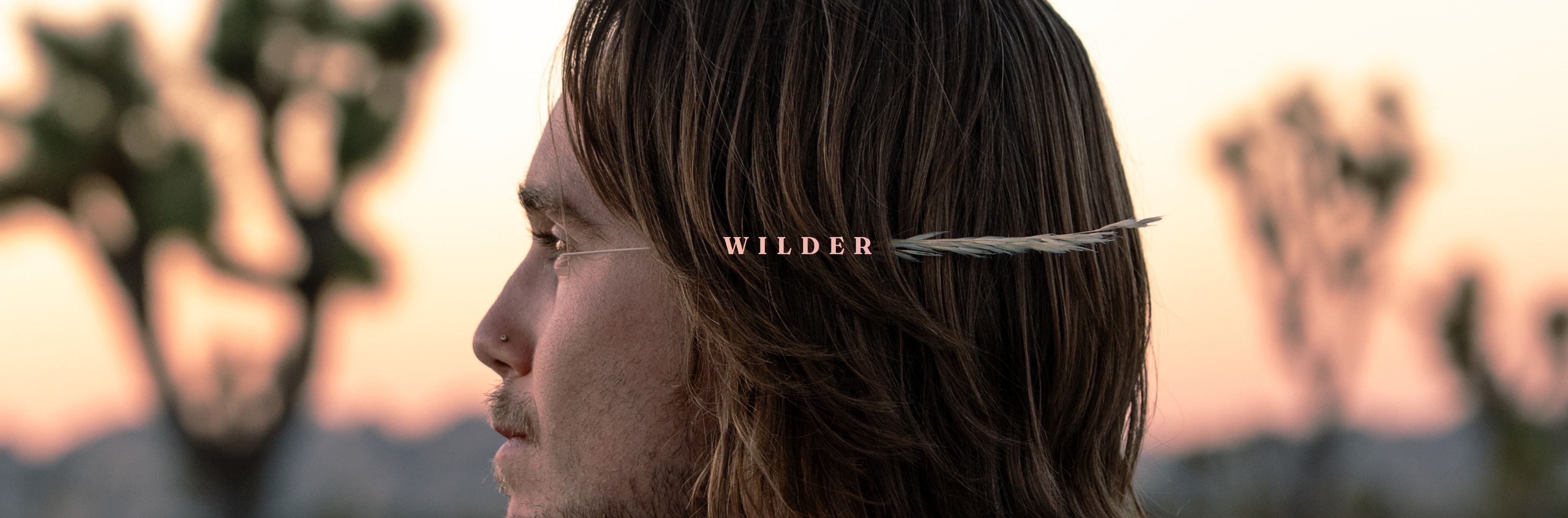 WILDER